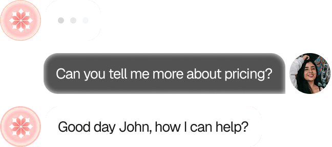 Chatbot conversation interface